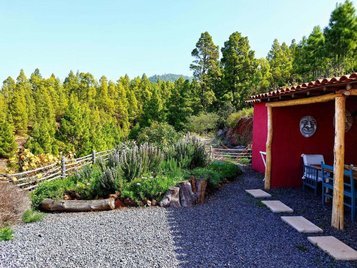 El Topo Puntagorda Exteriör bild